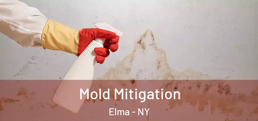 Mold Mitigation Elma - NY