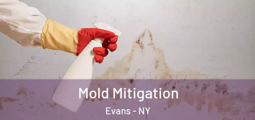 Mold Mitigation Evans - NY
