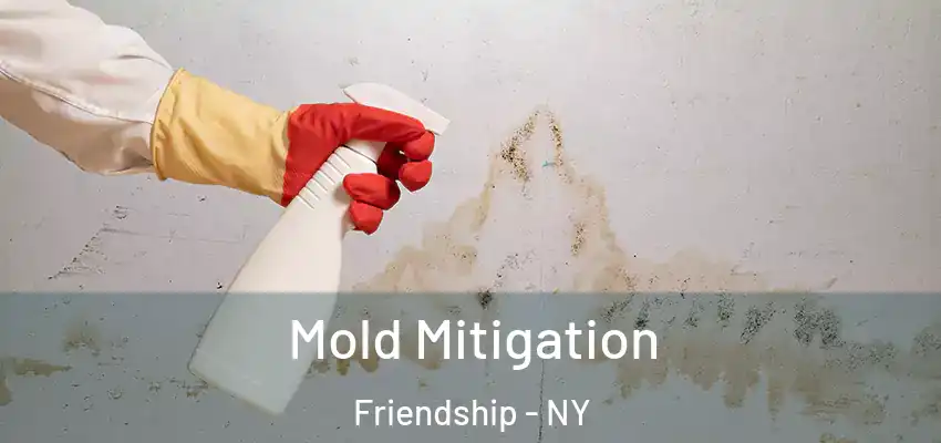  Mold Mitigation Friendship - NY
