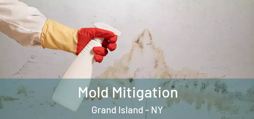  Mold Mitigation Grand Island - NY
