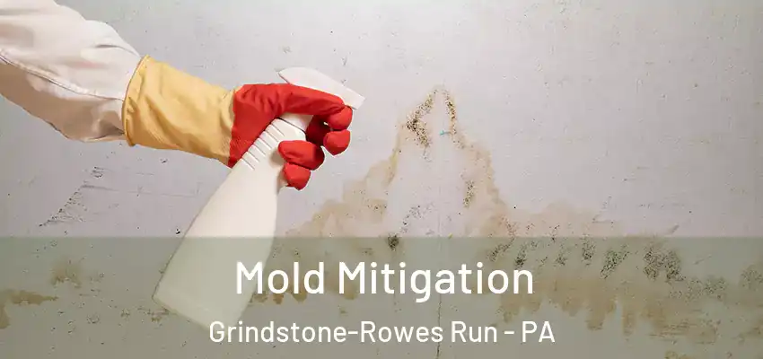  Mold Mitigation Grindstone-Rowes Run - PA