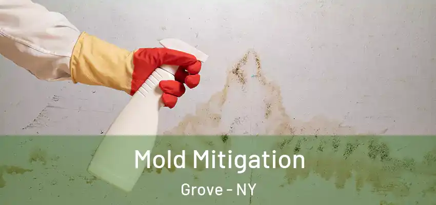 Mold Mitigation Grove - NY