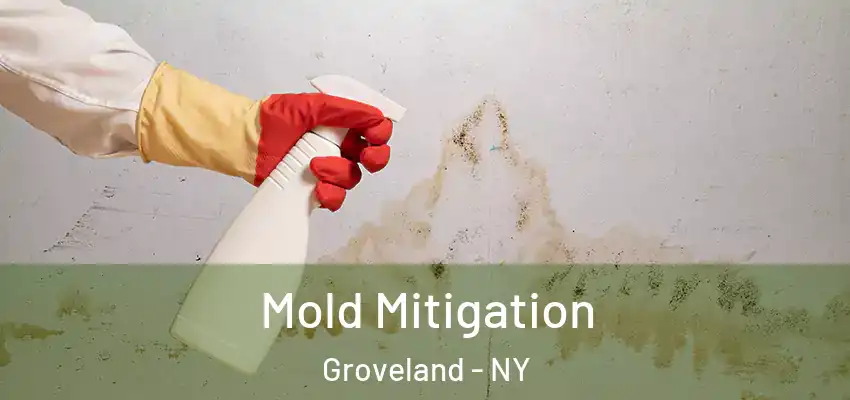  Mold Mitigation Groveland - NY