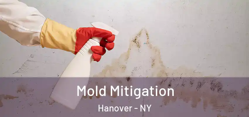 Mold Mitigation Hanover - NY