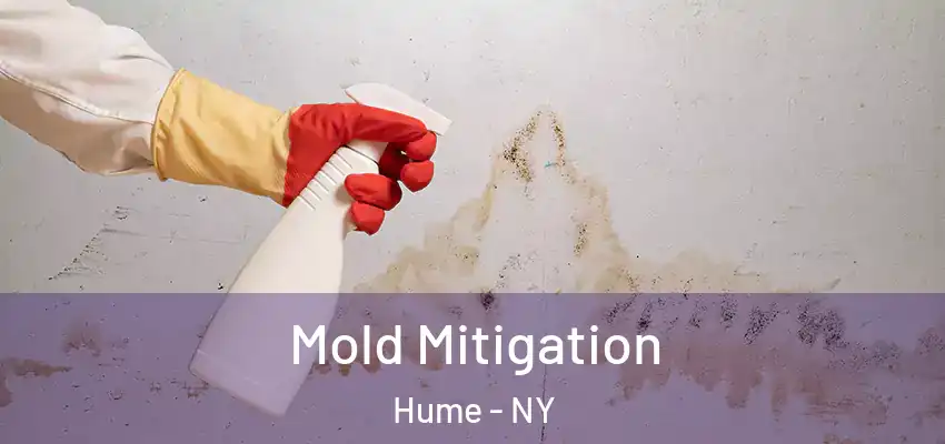 Mold Mitigation Hume - NY