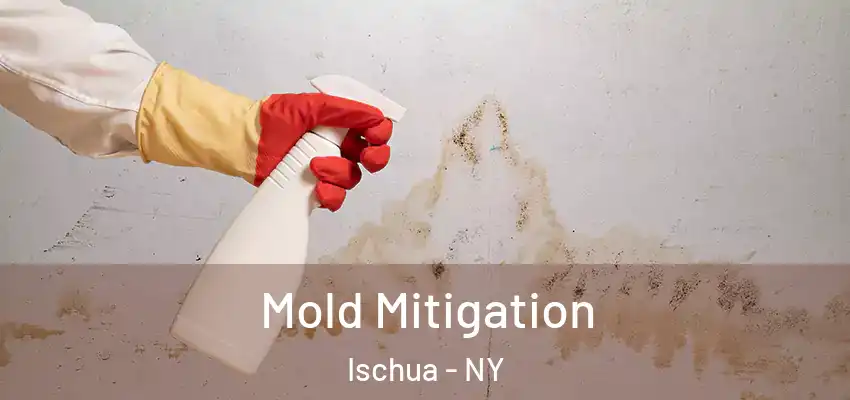 Mold Mitigation Ischua - NY