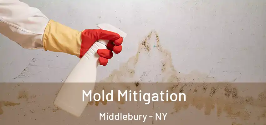  Mold Mitigation Middlebury - NY