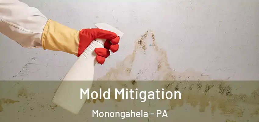 Mold Mitigation Monongahela - PA