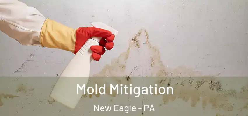 Mold Mitigation New Eagle - PA