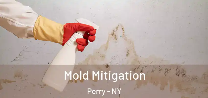  Mold Mitigation Perry - NY