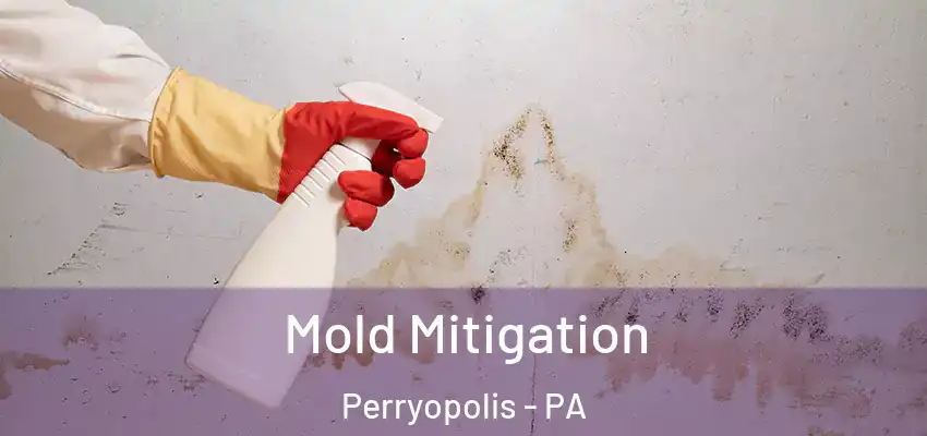 Mold Mitigation Perryopolis - PA