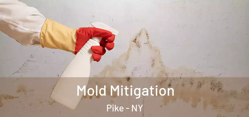 Mold Mitigation Pike - NY