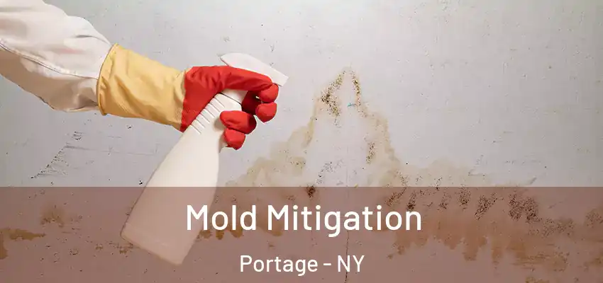 Mold Mitigation Portage - NY