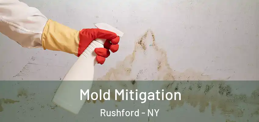 Mold Mitigation Rushford - NY