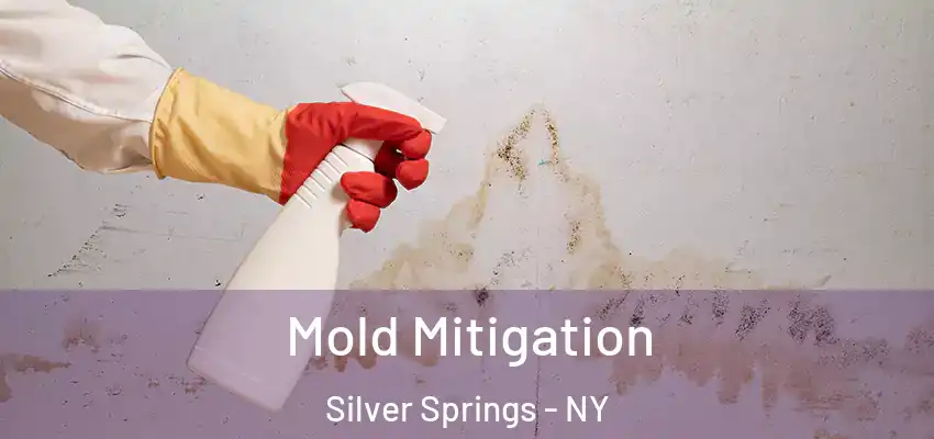  Mold Mitigation Silver Springs - NY