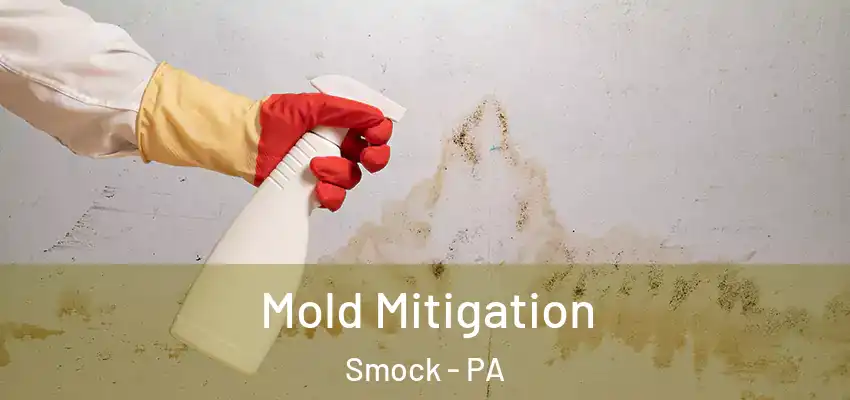 Mold Mitigation Smock - PA