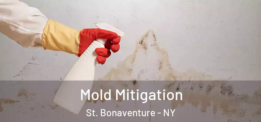  Mold Mitigation St. Bonaventure - NY