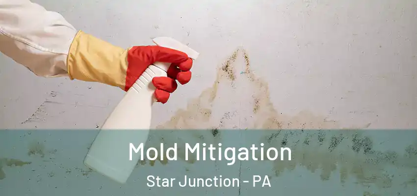 Mold Mitigation Star Junction - PA