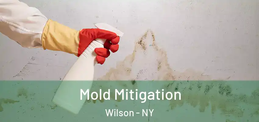 Mold Mitigation Wilson - NY