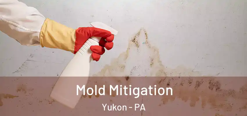  Mold Mitigation Yukon - PA