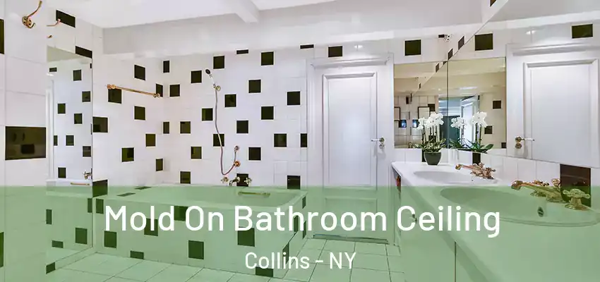  Mold On Bathroom Ceiling Collins - NY