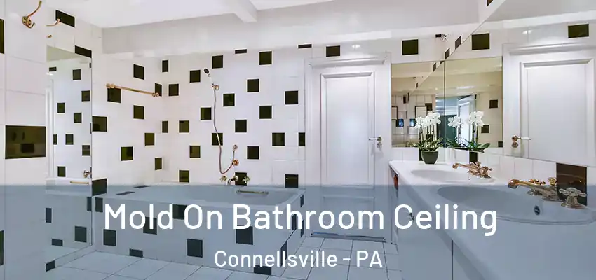Mold On Bathroom Ceiling Connellsville - PA