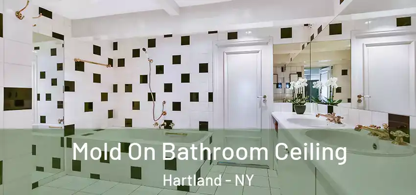  Mold On Bathroom Ceiling Hartland - NY