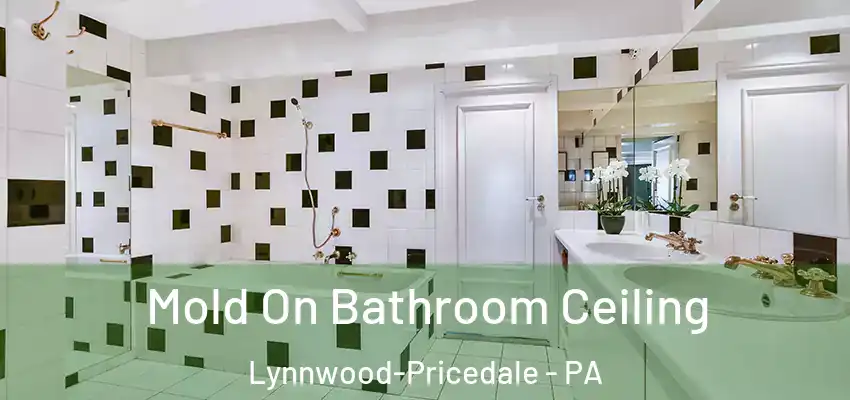 Mold On Bathroom Ceiling Lynnwood-Pricedale - PA