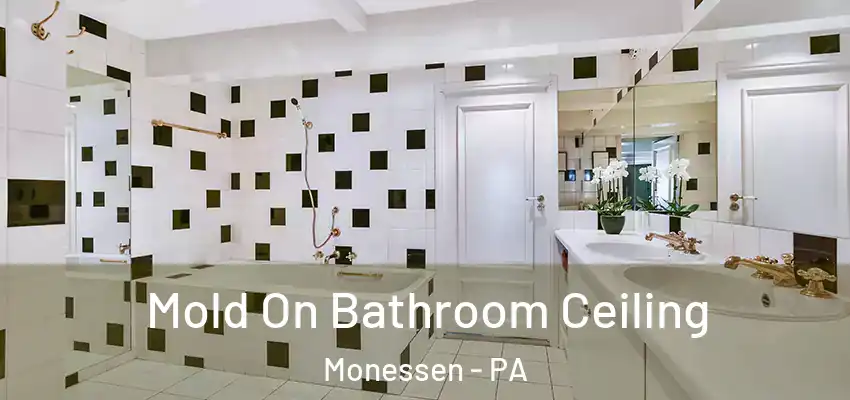  Mold On Bathroom Ceiling Monessen - PA