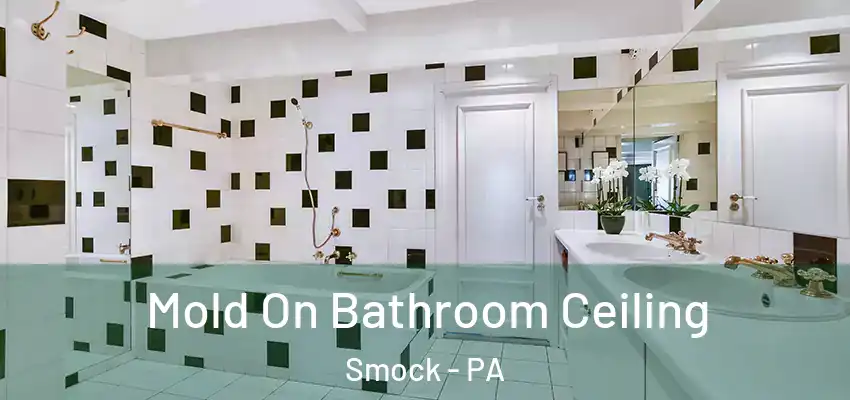  Mold On Bathroom Ceiling Smock - PA