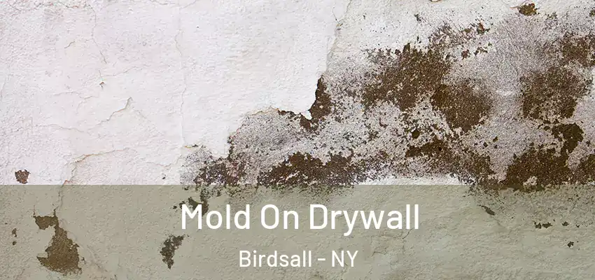  Mold On Drywall Birdsall - NY