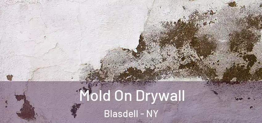 Mold On Drywall Blasdell - NY