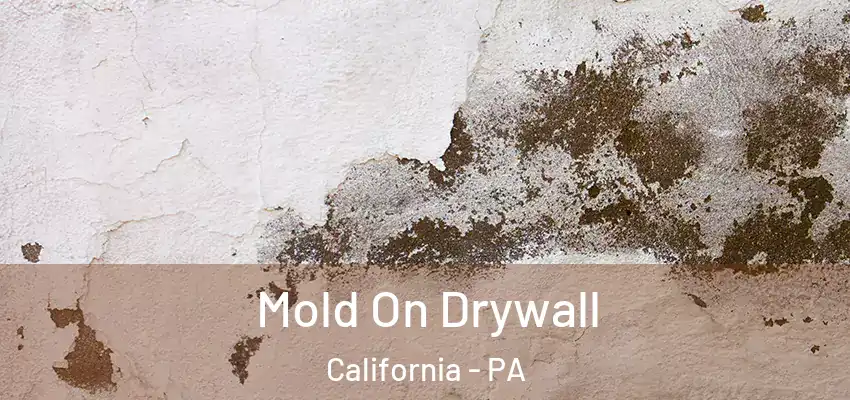 Mold On Drywall California - PA
