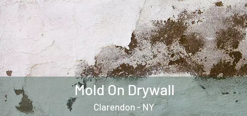  Mold On Drywall Clarendon - NY