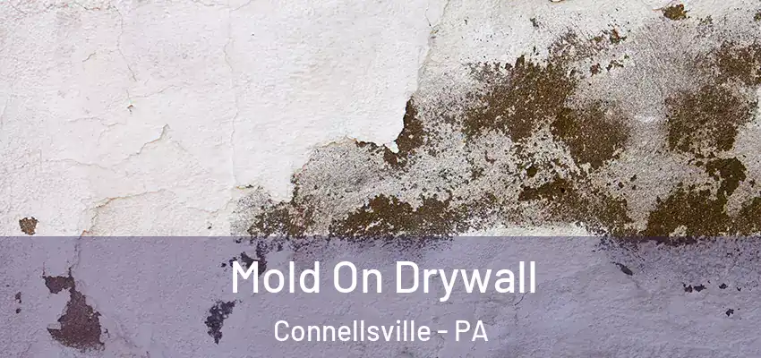 Mold On Drywall Connellsville - PA