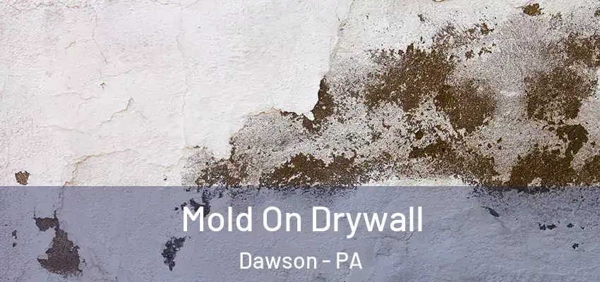 Mold On Drywall Dawson - PA