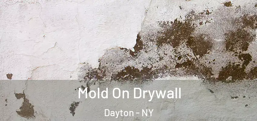  Mold On Drywall Dayton - NY
