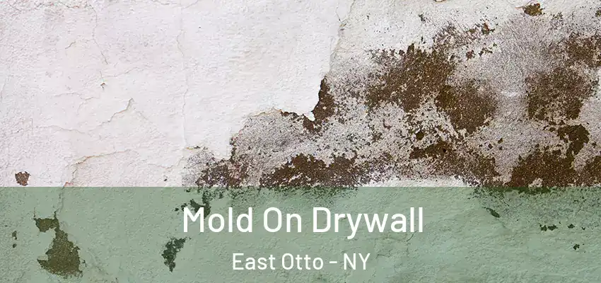  Mold On Drywall East Otto - NY
