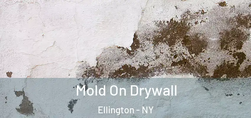  Mold On Drywall Ellington - NY