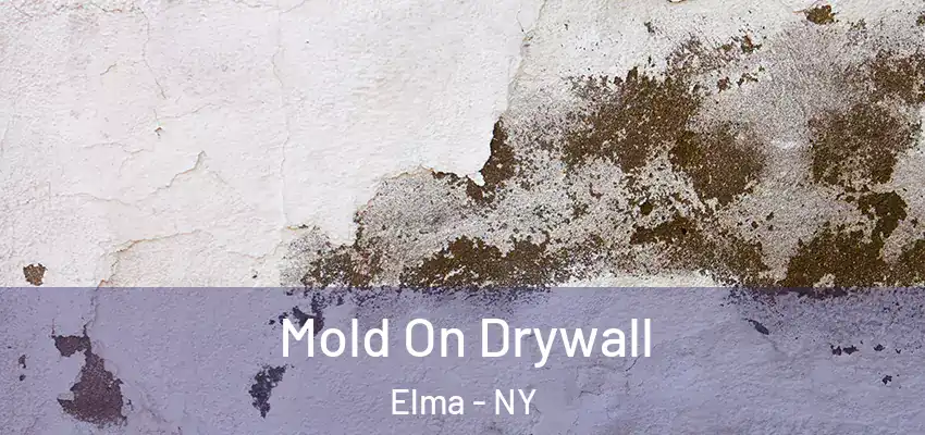  Mold On Drywall Elma - NY