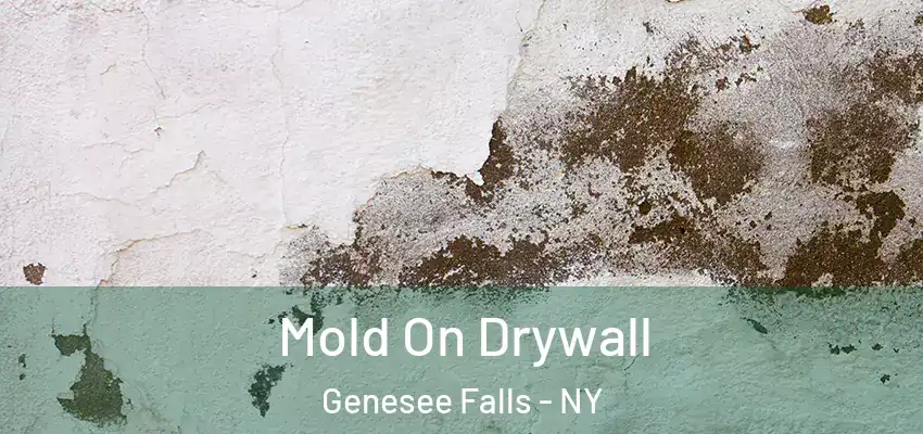  Mold On Drywall Genesee Falls - NY