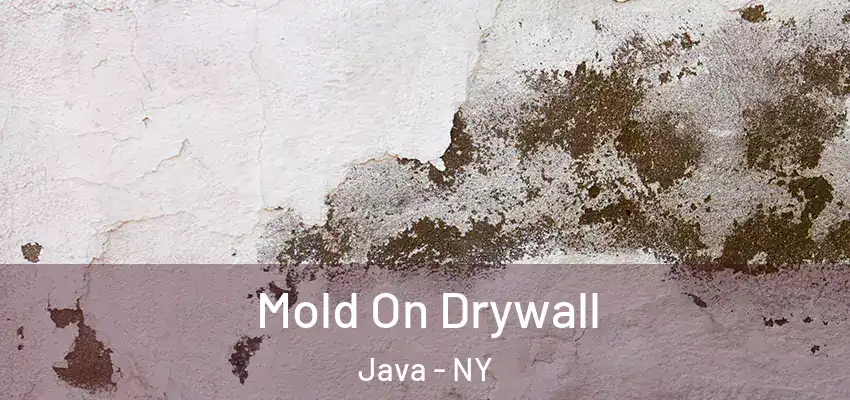 Mold On Drywall Java - NY