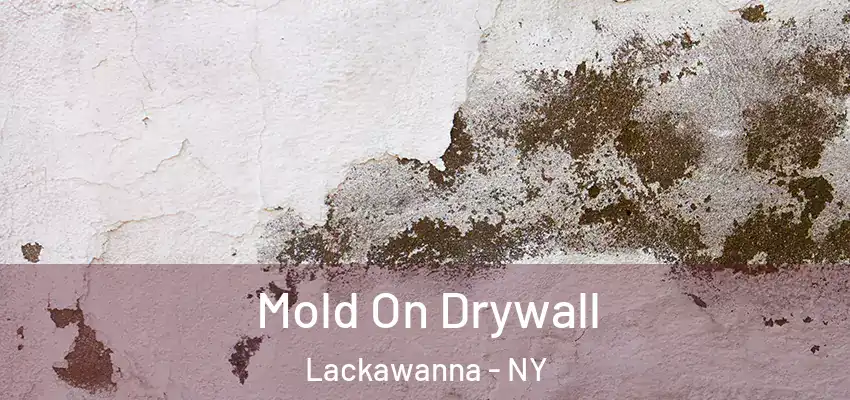  Mold On Drywall Lackawanna - NY