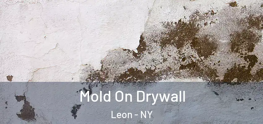  Mold On Drywall Leon - NY