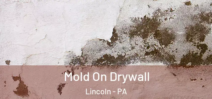  Mold On Drywall Lincoln - PA