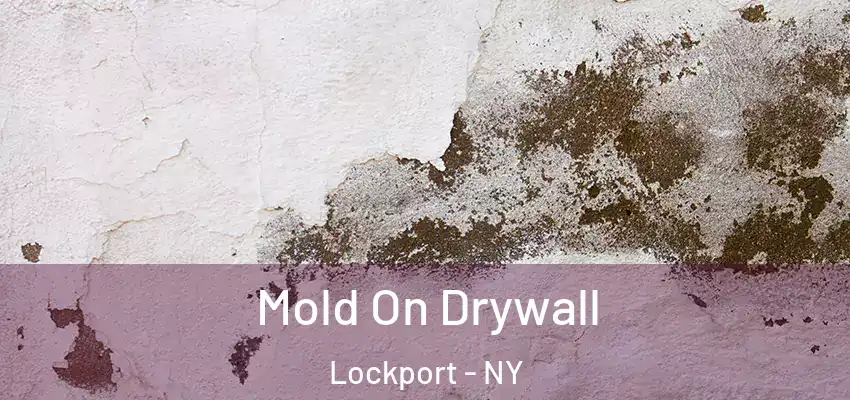  Mold On Drywall Lockport - NY