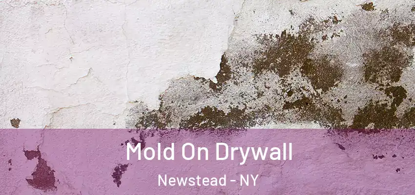  Mold On Drywall Newstead - NY
