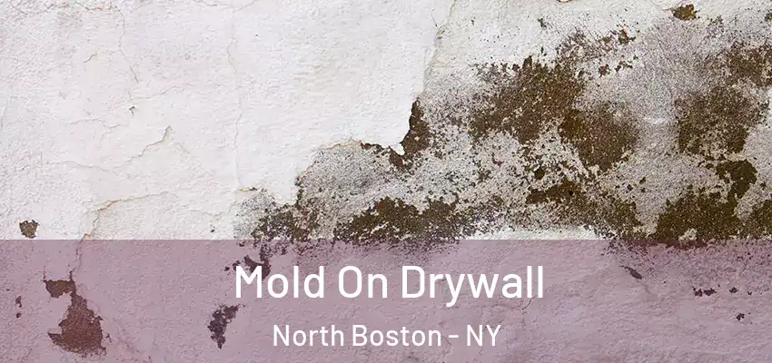  Mold On Drywall North Boston - NY