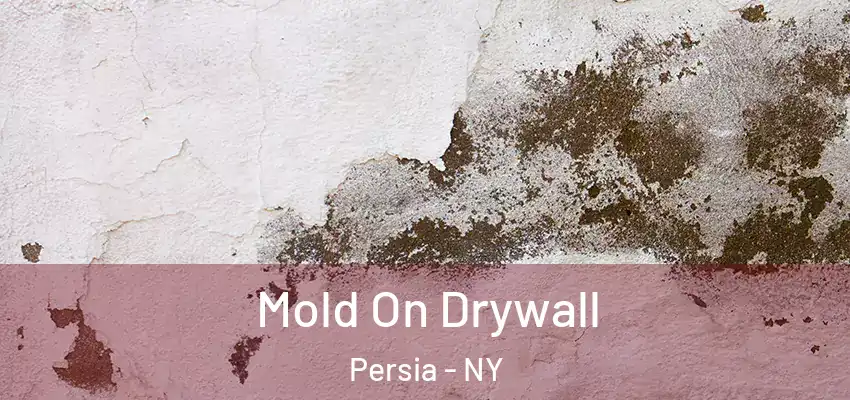  Mold On Drywall Persia - NY