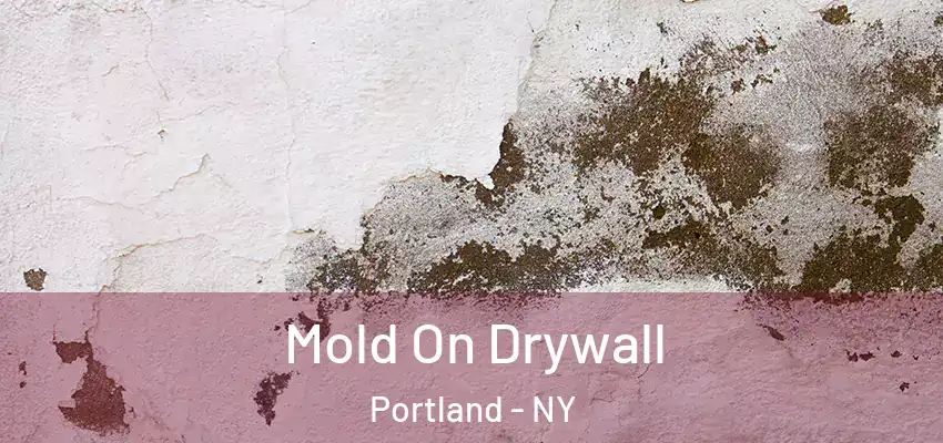  Mold On Drywall Portland - NY